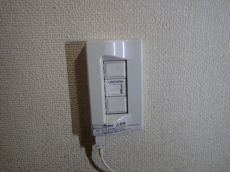 カテゴリー6A(cat6a)