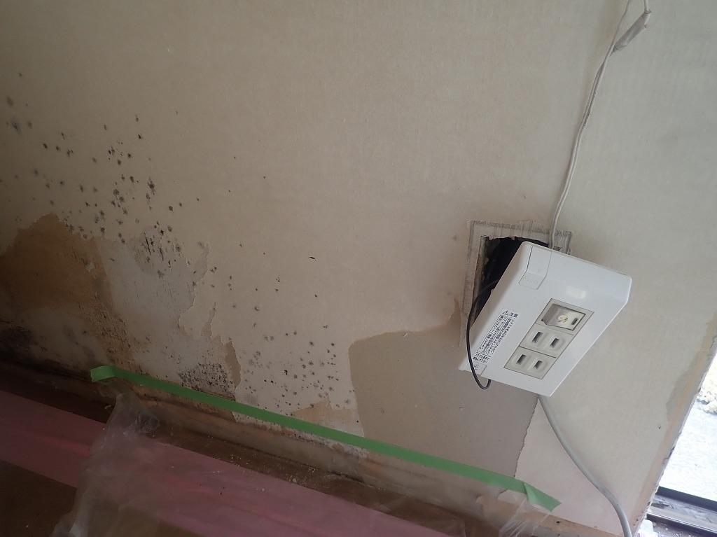 つくば市有線LAN工事